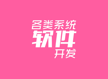 進(jìn)入了解各類(lèi)系統(tǒng)、軟件開(kāi)發(fā)